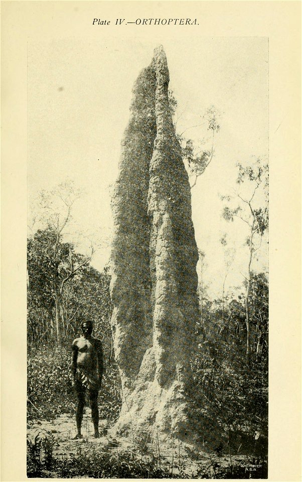 n62_w1150