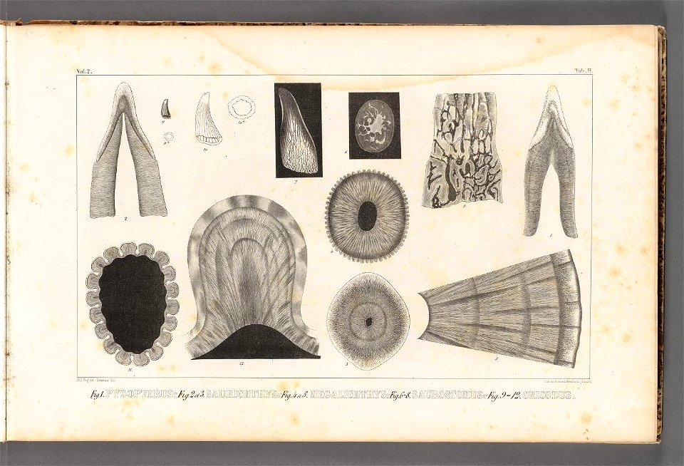 n16_w1150