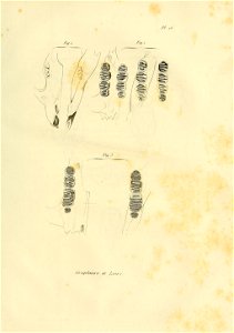 n502_w1150