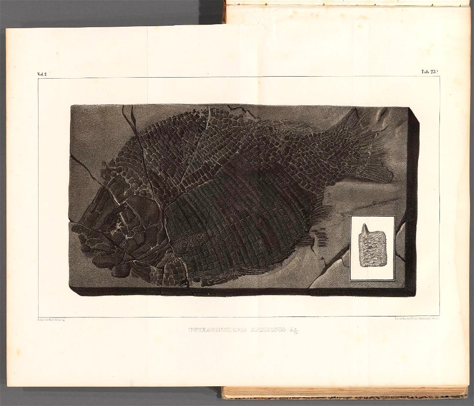 n59_w1150