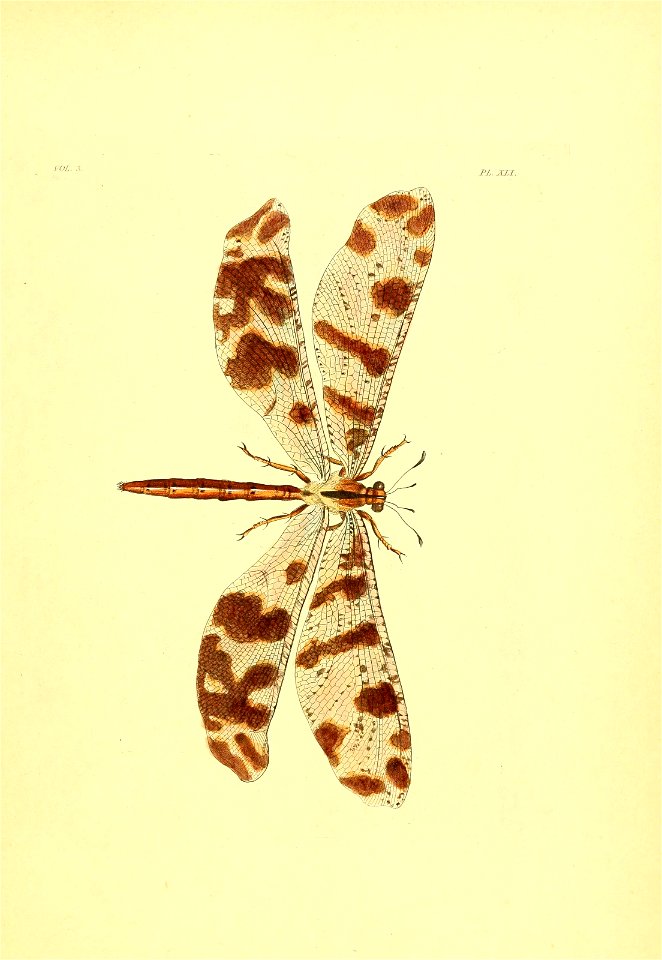 n290_w1150