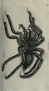 n202_w1150