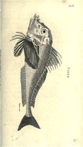 n122_w1150