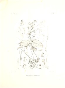 n42_w1150