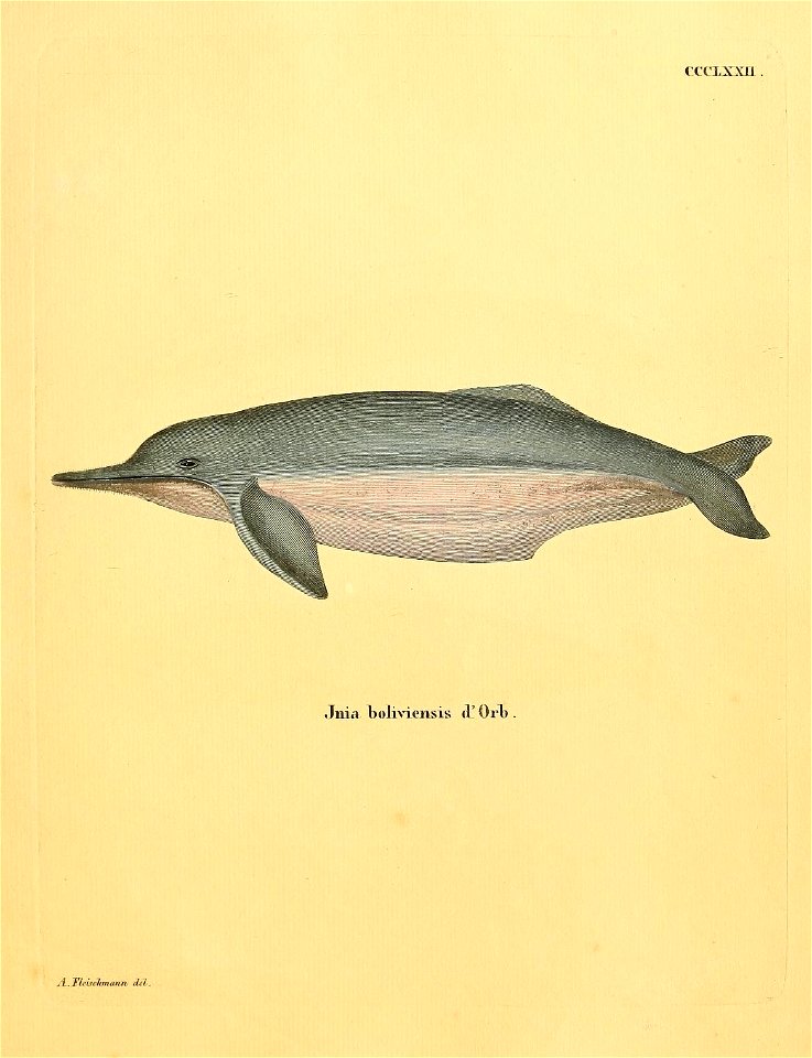n312_w1150