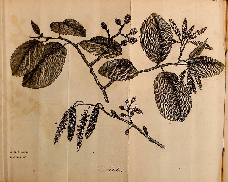 n153_w1150