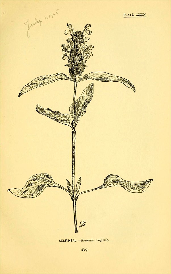 n410_w1150