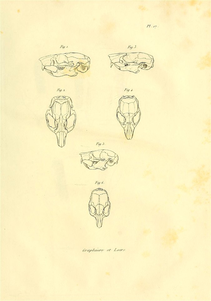 n504_w1150