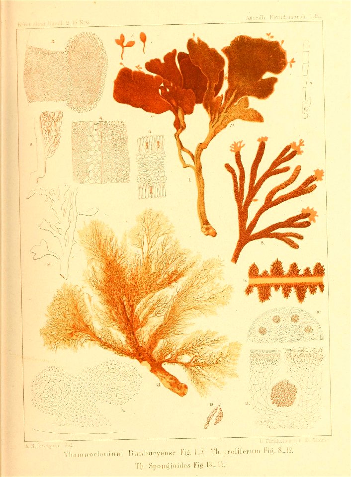 n222_w1150