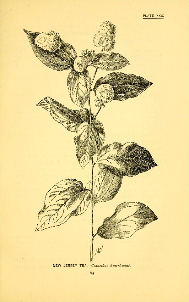 n124_w1150