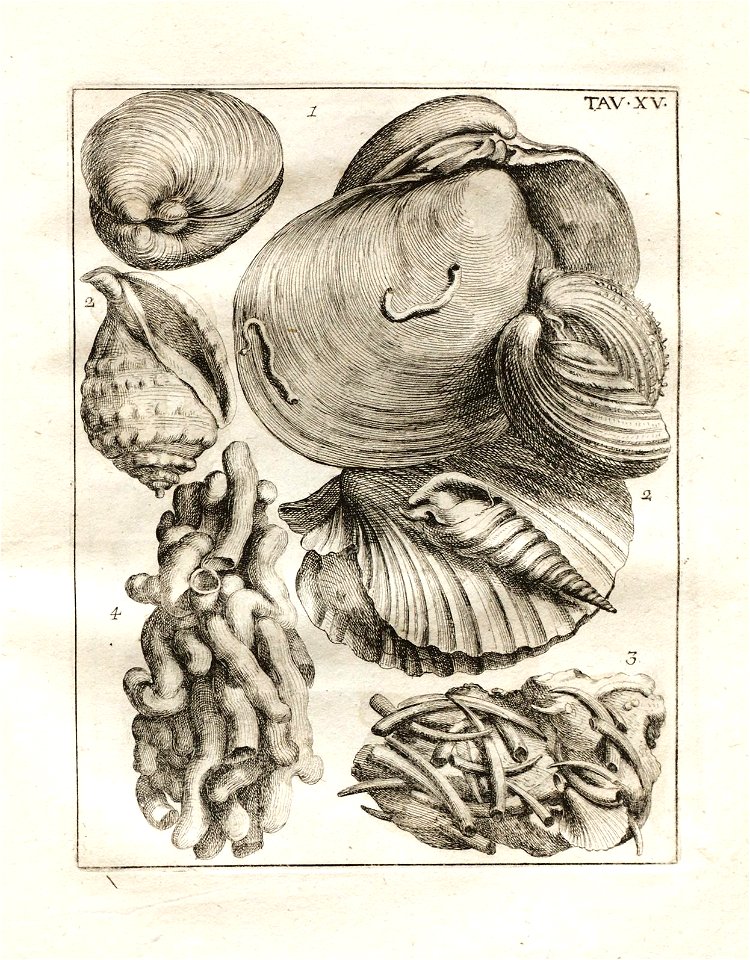 n110_w1150