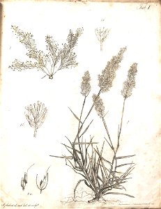 n54_w1150