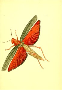 n196_w1150