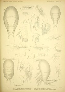 n112_w1150