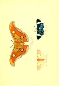 n118_w1150