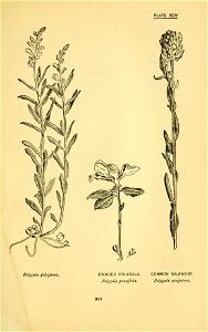 n304_w1150