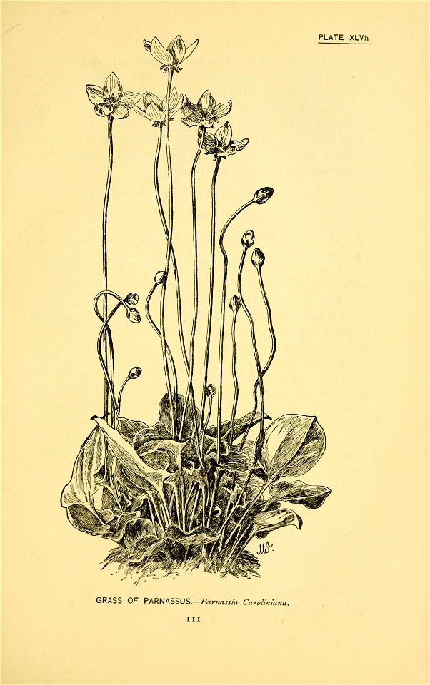 n178_w1150