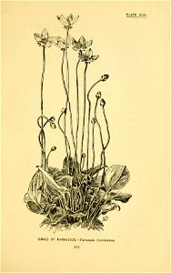 n178_w1150