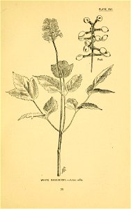 n90_w1150
