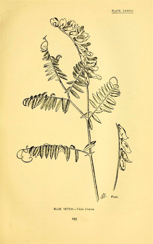 n418_w1150