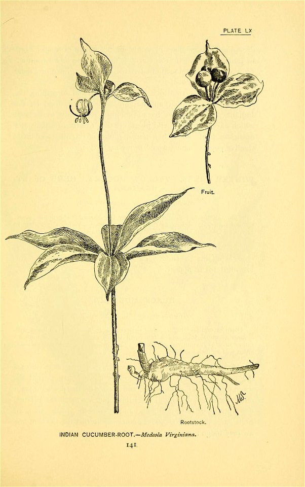 n214_w1150