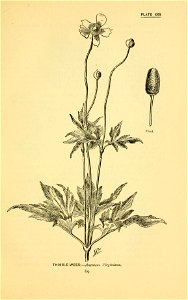n128_w1150