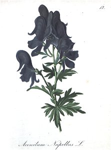 n120_w1150