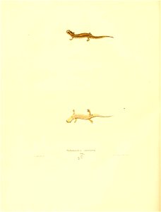 n171_w1150