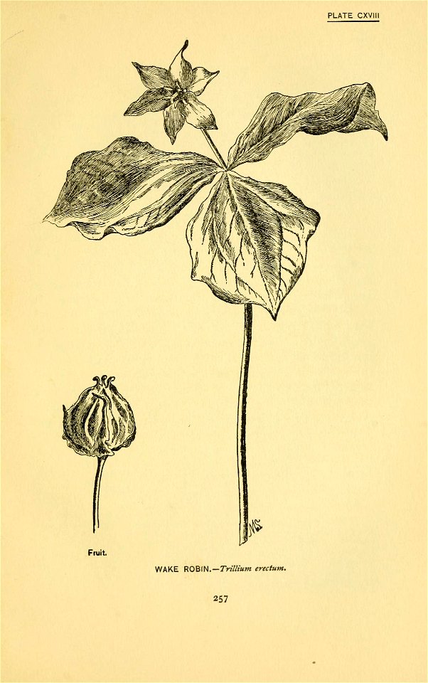 n364_w1150