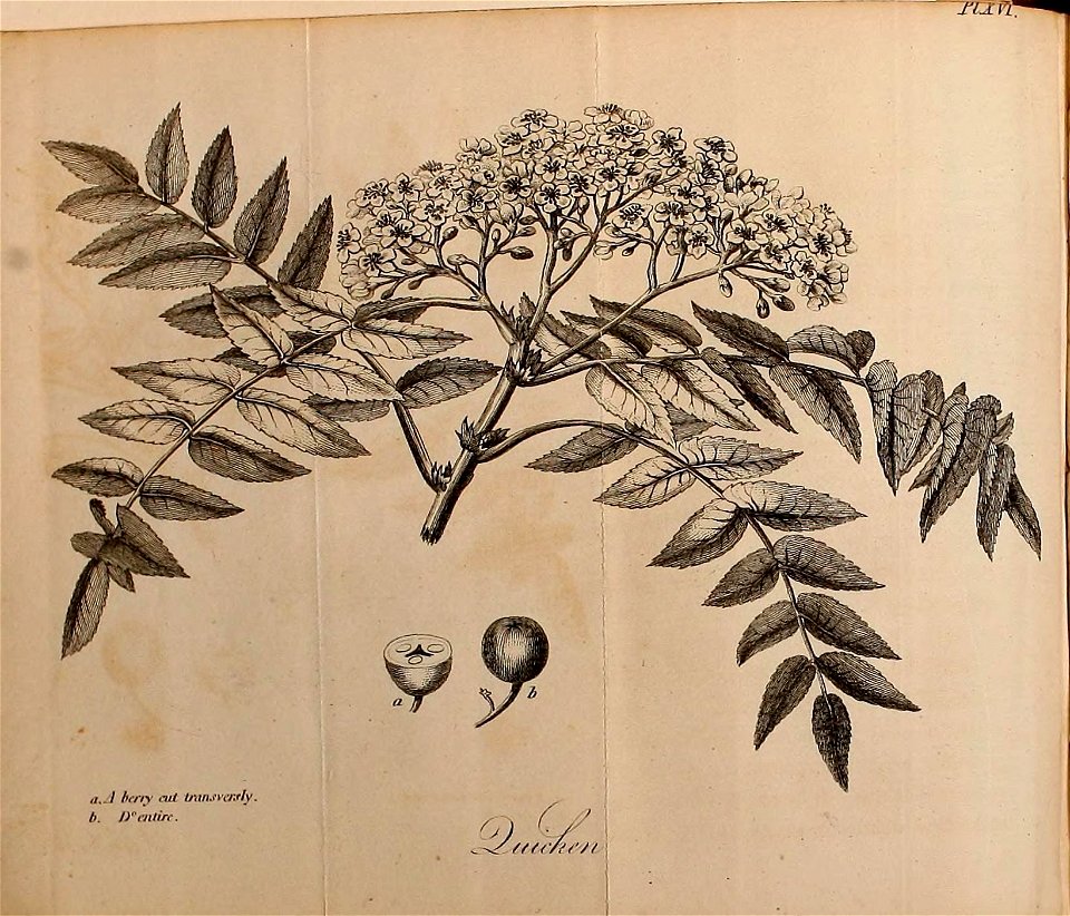 n123_w1150