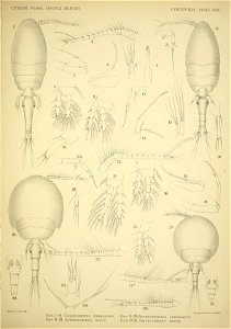 n126_w1150