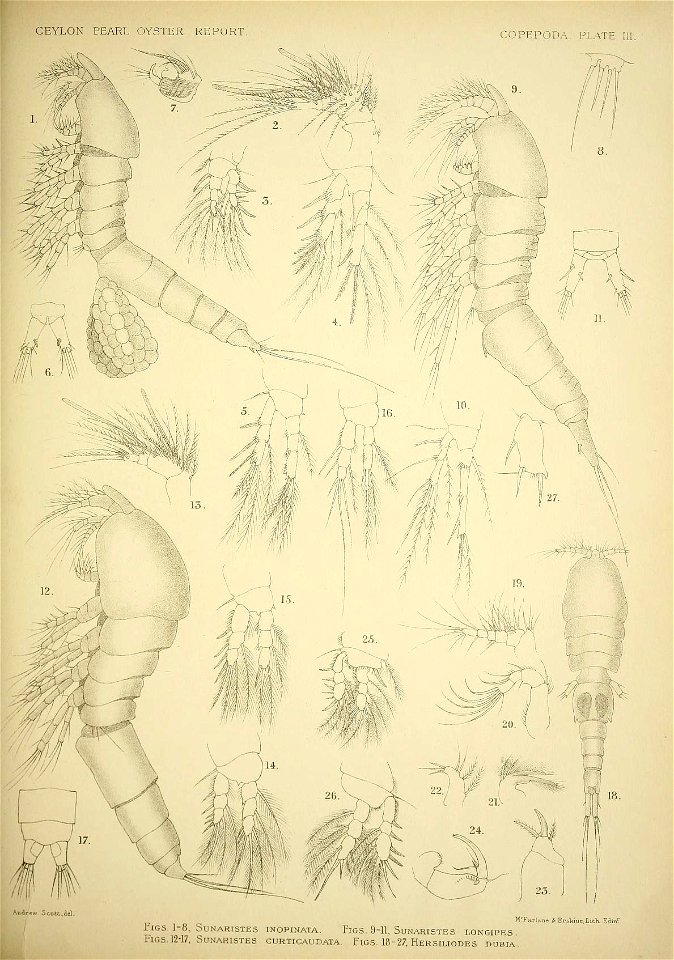 n96_w1150
