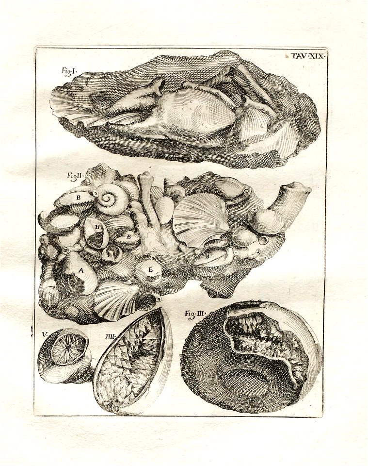 n114_w1150