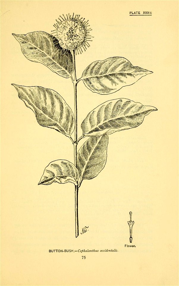 n136_w1150