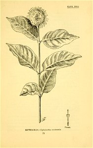 n136_w1150