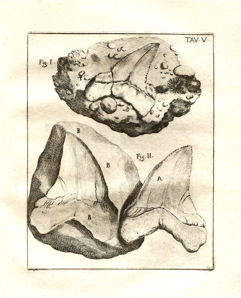 n99_w1150