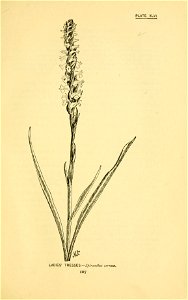 n174_w1150