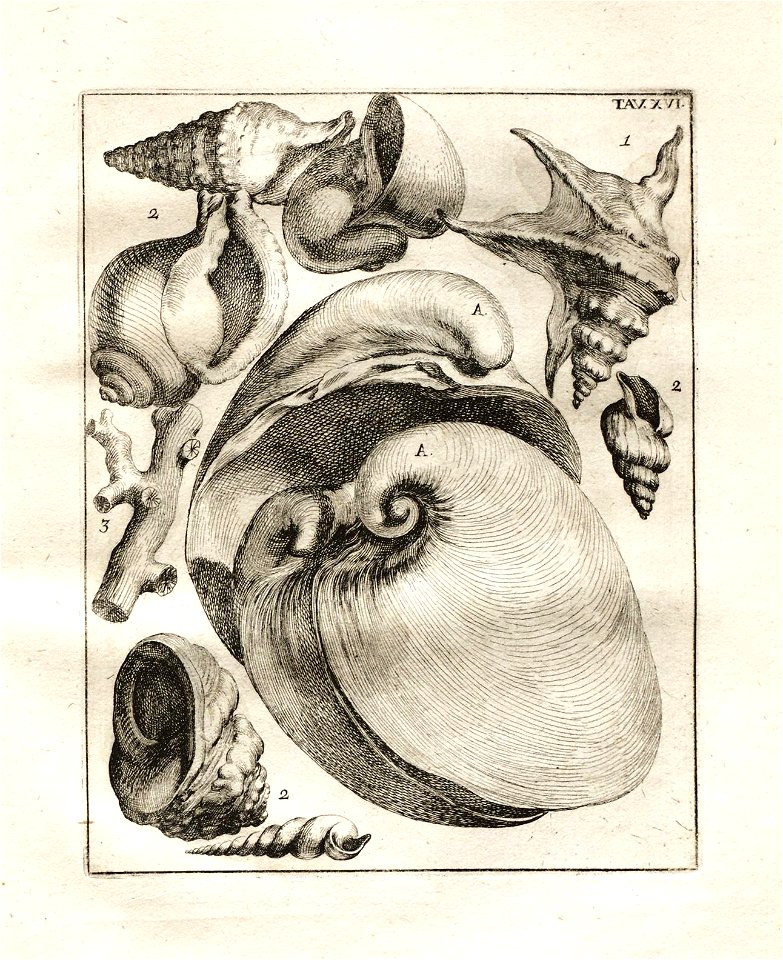 n111_w1150
