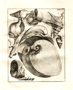 n111_w1150