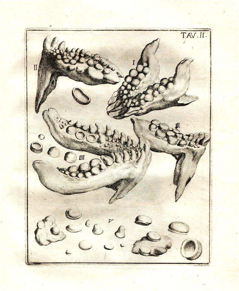 n96_w1150