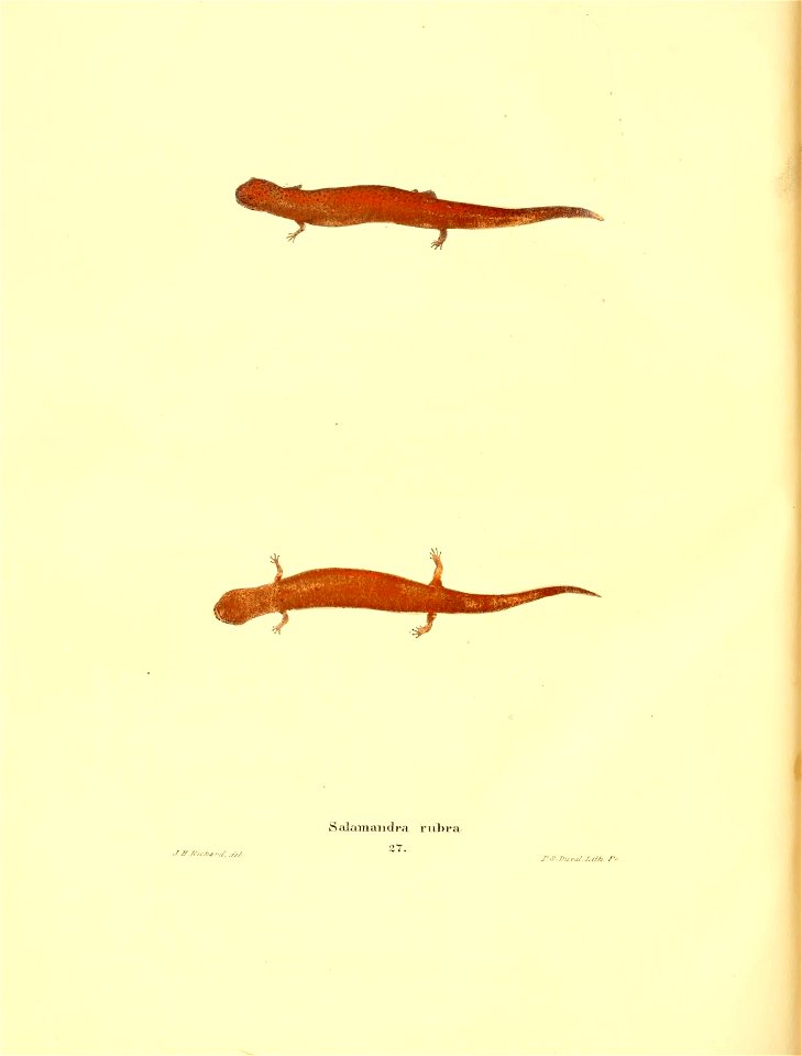 n179_w1150
