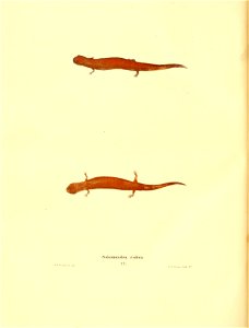 n179_w1150