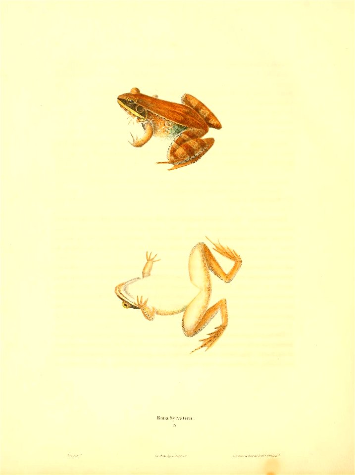 n129_w1150