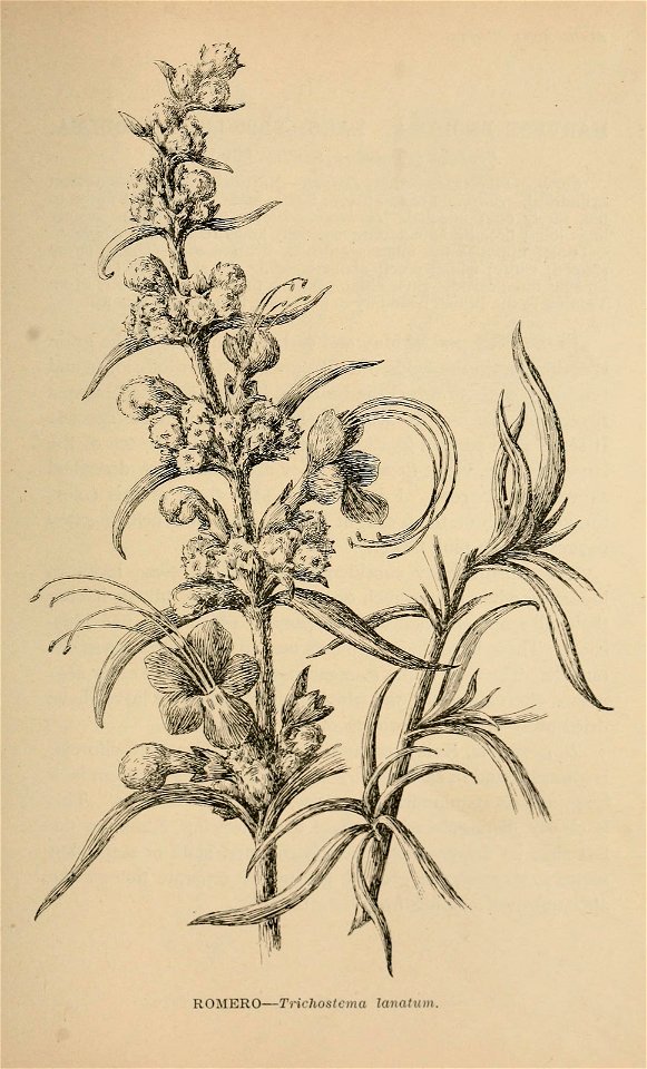 n372_w1150