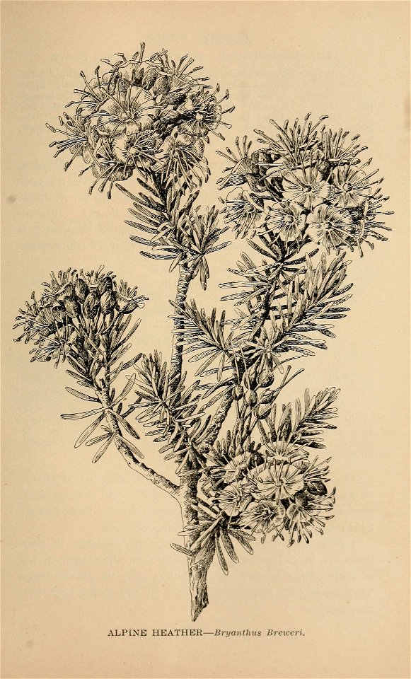 n302_w1150