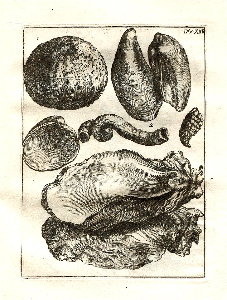 n108_w1150