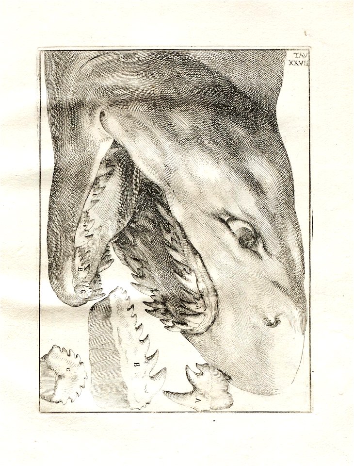 n123_w1150