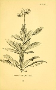 n118_w1150