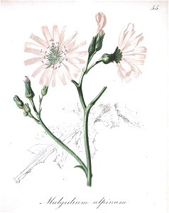 n163_w1150