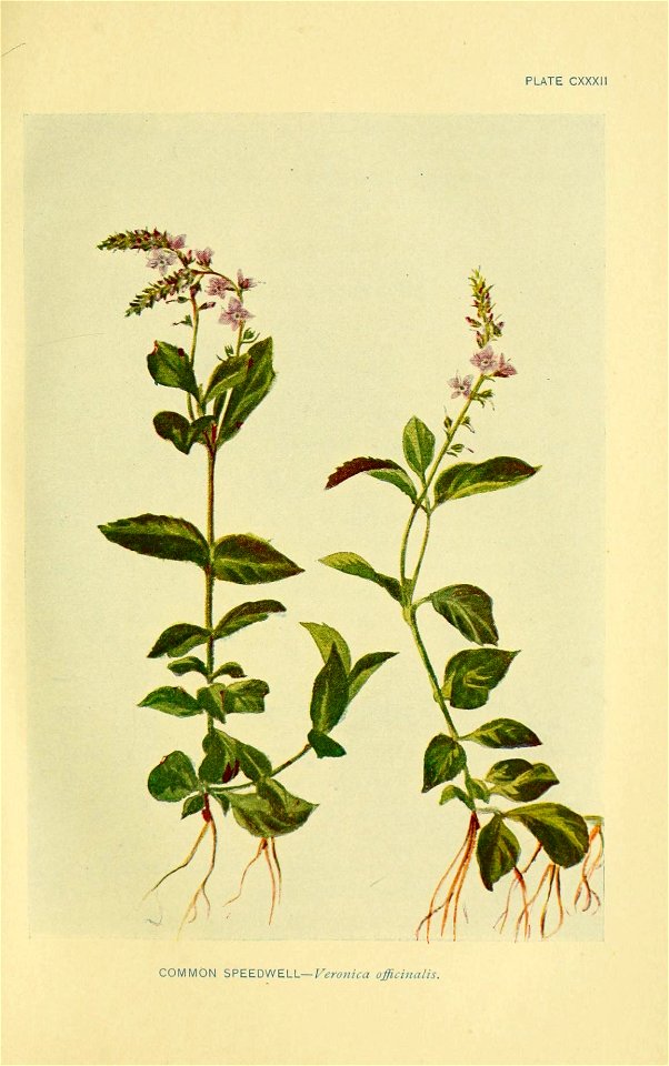 n402_w1150